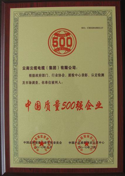 中国质量500强